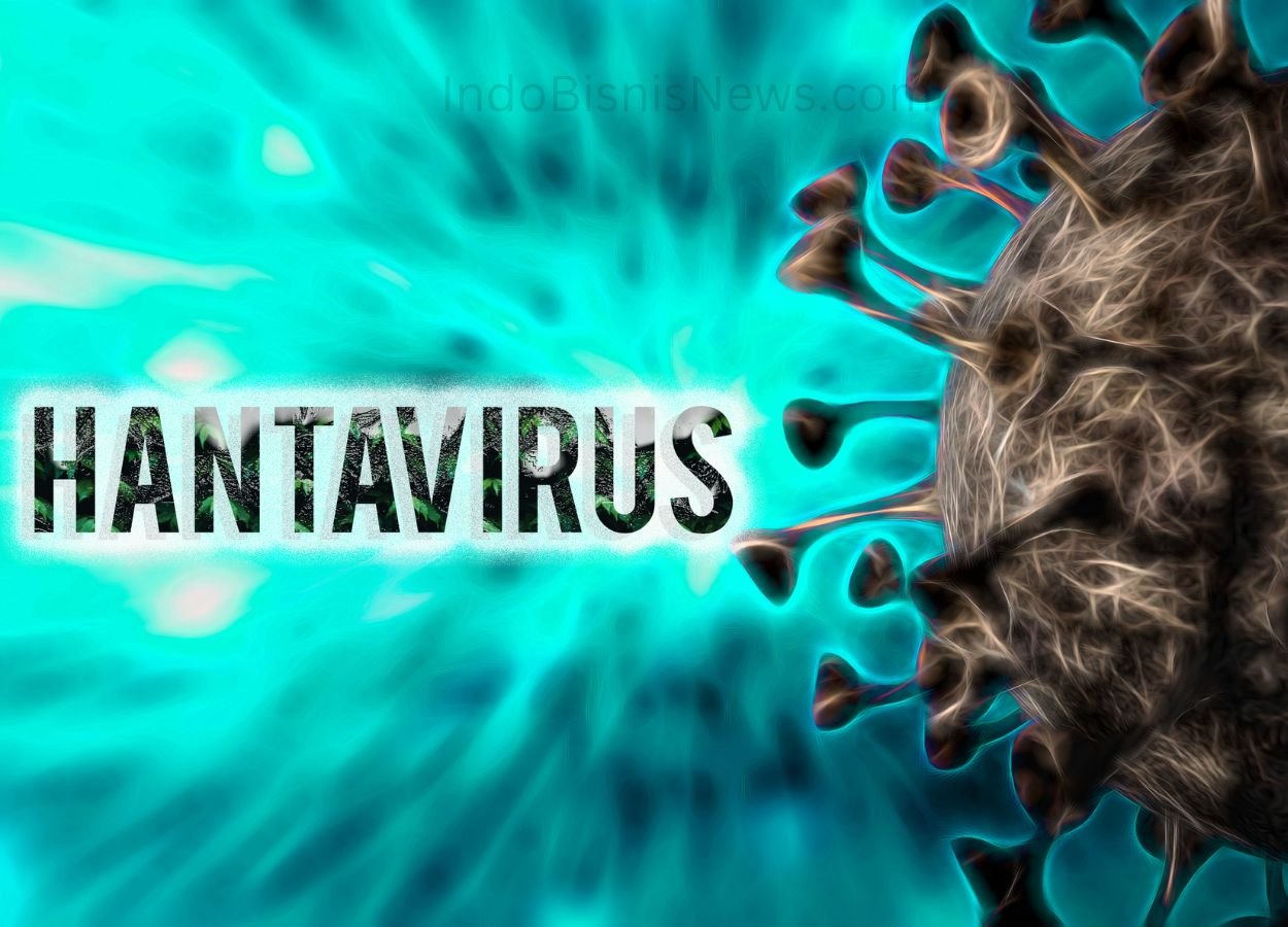 Kasus Hantavirus Terdeteksi di Indonesia, Seberapa Berbahaya - IndoBisnisNews.com