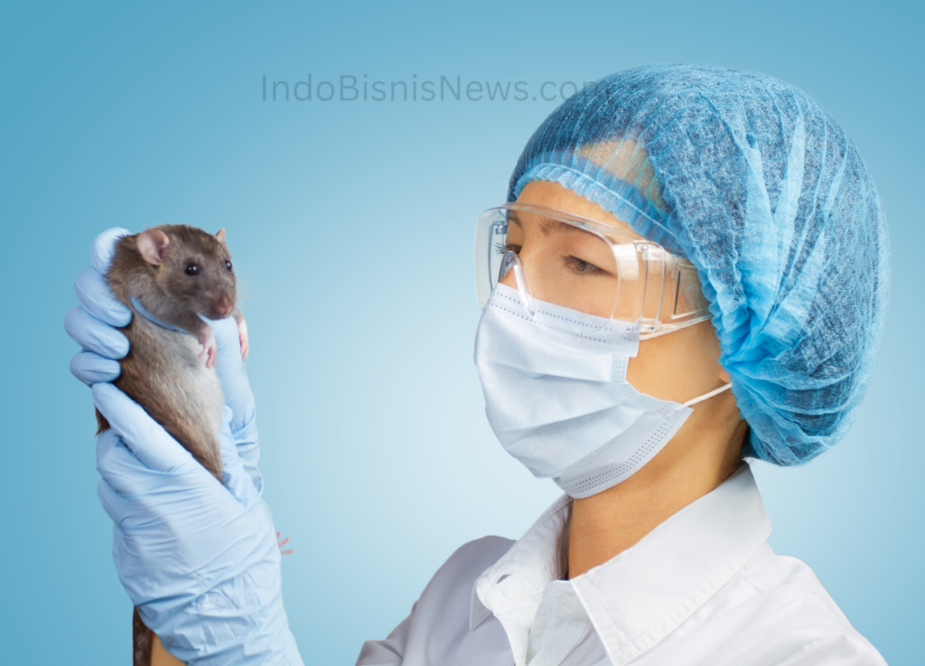 Puan Minta Pemerintah Mitigasi Penyebaran Hantavirus - IndoBisnisNews.com